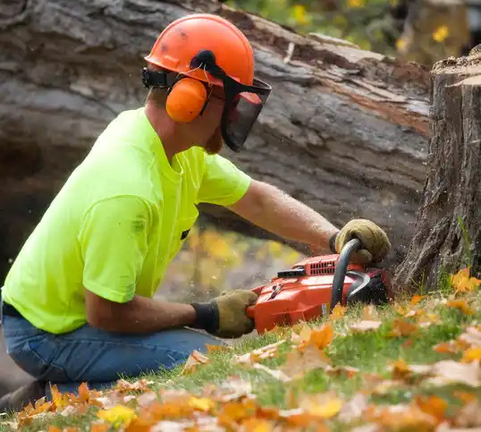 tree services Colfax